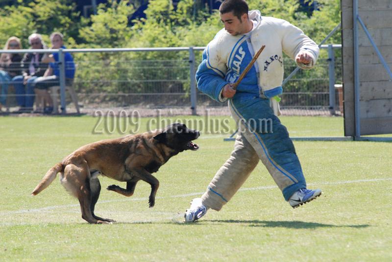 3 EME SELECTIF 2009 GRANDE SYNTHE 161.jpg